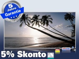 Infrarot Bildheizung 700 Watt ESG Glas 120x60 M10-SL Barbados