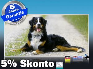 Infrarot Bildheizung 700 Watt 120x60 M10-SL Berner Sennhund