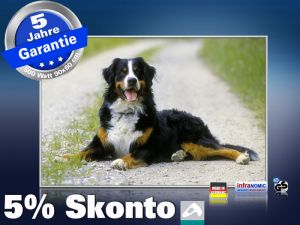 infrarot Bildheizung 500 Watt 90x60 M10-SL Berner Sennhund
