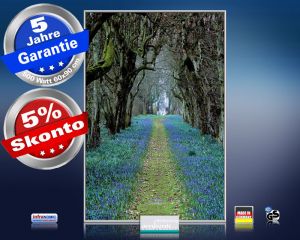 Infrarot Bildheizung 500 Watt 90x60 M10-SL Allee