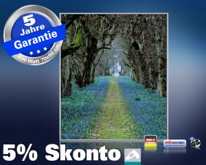 Infrarot Bildheizung 400 Watt 70x60 M10-SL Allee