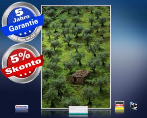 Infrarot Bildheizung 500 Watt 90x60 M10-SL Olivenbäume