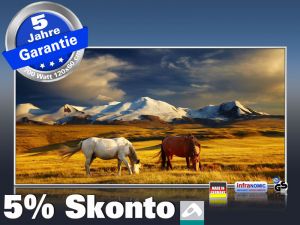 Infrarot Bildheizung 700 Watt 120x60 M10-SL Wildpferde