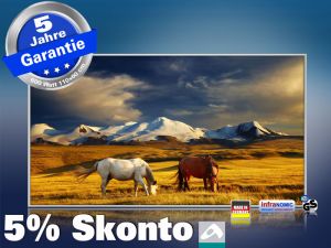 Infrarot Bildheizung 600 Watt 110x60 M10-SL Wildpferde