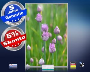 Infrarot Bildheizung 500 Watt 90x60 M10-SL Schnittlauch