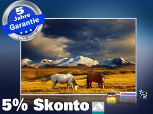 infrarot Bildheizung 500 Watt 90x60 M10-SL Wildpferde