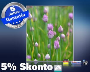 Infrarot Bildheizung 400 Watt 70x60 M10-SL Schnittlauch