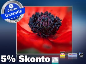 Infrarot Bildheizung 400 Watt 70x60 M10-SL Mohn
