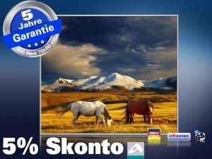 Infrarot Bildheizung 400 Watt 70x60 M10-SL Wildpferde