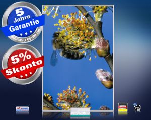 infrarot Bildheizung 500 Watt 90x60 M10-SL Biene