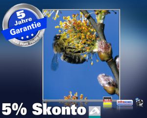 Infrarot Bildheizung 400 Watt 70x60 M10-SL Biene