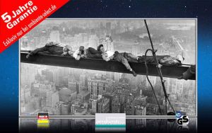 infrarot Bildheizung 600 Watt 110x60 M10-SL catnap atop a skyscraper 1c