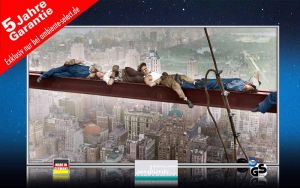 Infrarot Bildheizung 600 Watt 110x60 M10-SL catnap atop a skyscraper 4c