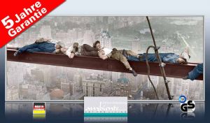 infrarot Bildheizung 900 Watt 140x60 M10-SL catnap atop a skyscraper 4c