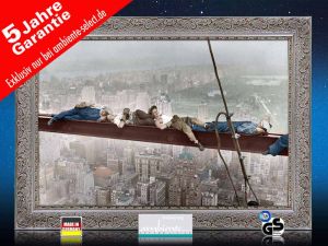 infrarot Bildheizung 500 Watt 90x60 StSi catnap atop a skyscraper c