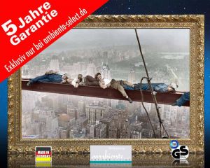 infrarot Bildheizung 500 Watt 90x60 StG catnap atop a skyscraper c