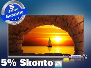 Infrarot Bildheizung 600 Watt 110x60 M10-SL sailing