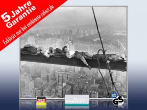 infrarot Bildheizung 400 Watt 70x60 M10-SL catnap atop a skyscraper 1c