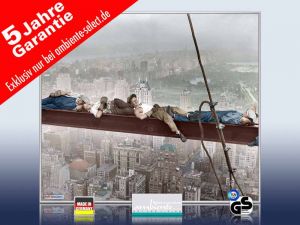 infrarot Bildheizung 400 Watt 70x60 M10-SL catnap atop a skyscraper 4c