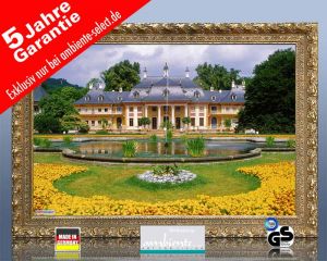 infrarot Bildheizung 500 Watt 90x60 Stilrahmen StG Schloss Pillnitz