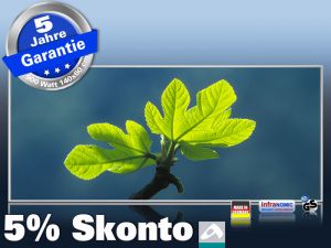 Infrarotheizung als Bild Bildheizung 900 Watt 140x60 M10-SL Ahornblatt