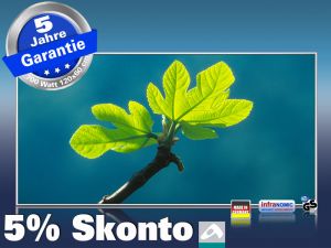 Infrarot Bildheizung 700 Watt 120x60 M10-SL Ahornblatt