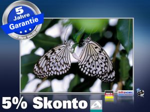 infrarot Bildheizung 500 Watt 90x60 M10-SL Schmetterlinge