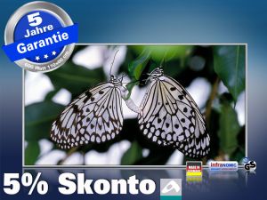 Infrarot Bildheizung 600 Watt 110x60 M10-SL Schmetterlinge