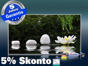 Infrarot Bildheizung 600 Watt 110x60 M10-SL Wellness 116