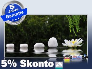 Infrarot Bildheizung 700 Watt 120x60 M10-SL Wellness 126