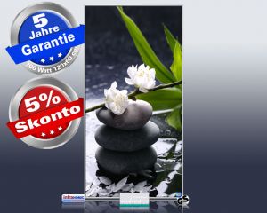 Infrarot Bildheizung 700 Watt 120x60 M10-SL Wellness