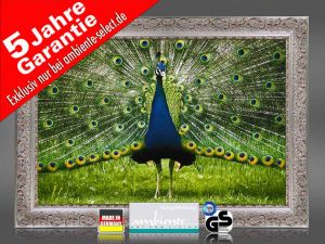 Infrarot Bildheizung 500 Watt 90x60 Stilrahmen StSi Pfau