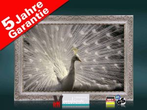 Infrarot Bildheizung 500 Watt 90x60 Stilrahmen StSi Pfau II