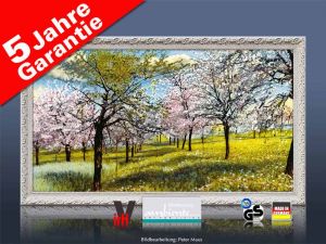 Infrarotheizung als Bild Bildheizung 600 Watt 110x60 StAw Baumbl�te