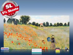 Infrarot Bildheizung 700 Watt Rahmenlos slim-line 120x60 Klatschmohn