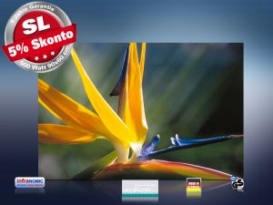 Infrarot Bildheizung 500 Watt Rahmenlos slim-line 90x60 Strelizie