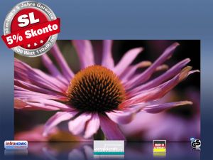 Infrarot Bildheizung 600 Watt Rahmenlos slim-line 110x60 Echinazea