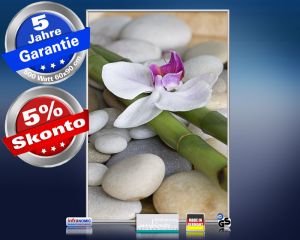 Infrarot Bildheizung 500 Watt 90x60 M10-SL Bambus