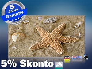 Infrarot Bildheizung 600 Watt 110x60 M10-SL Seestern