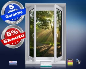 Infrarot Bildheizung 500 Watt 90x60 M10-SL Fensterblick Morgensonne