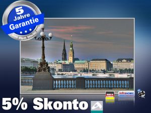 Infrarot Bildheizung 500 Watt 90x60 M10-SL Hamburg