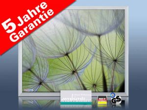 Infrarot Bildheizung 400 Watt 70x60 M23-SG Pusteblumen