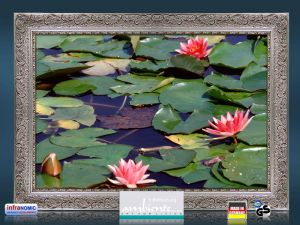 Infrarot Bildheizung 500 Watt 90x60 Stilrahmen StSi Seerosen