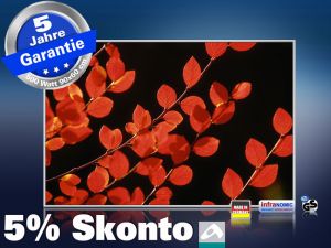 Infrarot Bildheizung 500 Watt 90x60 M10-SL Rote Blätter