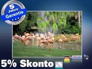 infrarotheizung mit Bild Bildheizung 500 Watt 90x60 M10-SL Flamingos