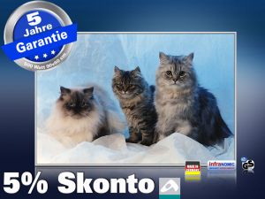 infrarotheizung mit Bild Bildheizung 500 Watt 90x60 M10-SL Katzen