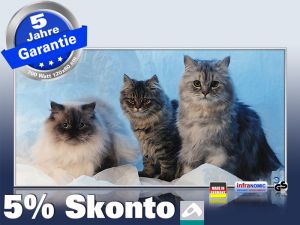 Infrarotheizung als Bild Bildheizung 700 Watt 120x60 M10-SL Katzen