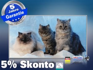 Infrarot Bildheizung 600 Watt 110x60 M10-SL Katzen