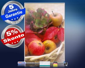 Infrarot Bildheizung 500 Watt 90x60 M10-SL Obstkorb