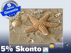 Infrarot Bildheizung 500 Watt 90x60 M10-SL Seestern